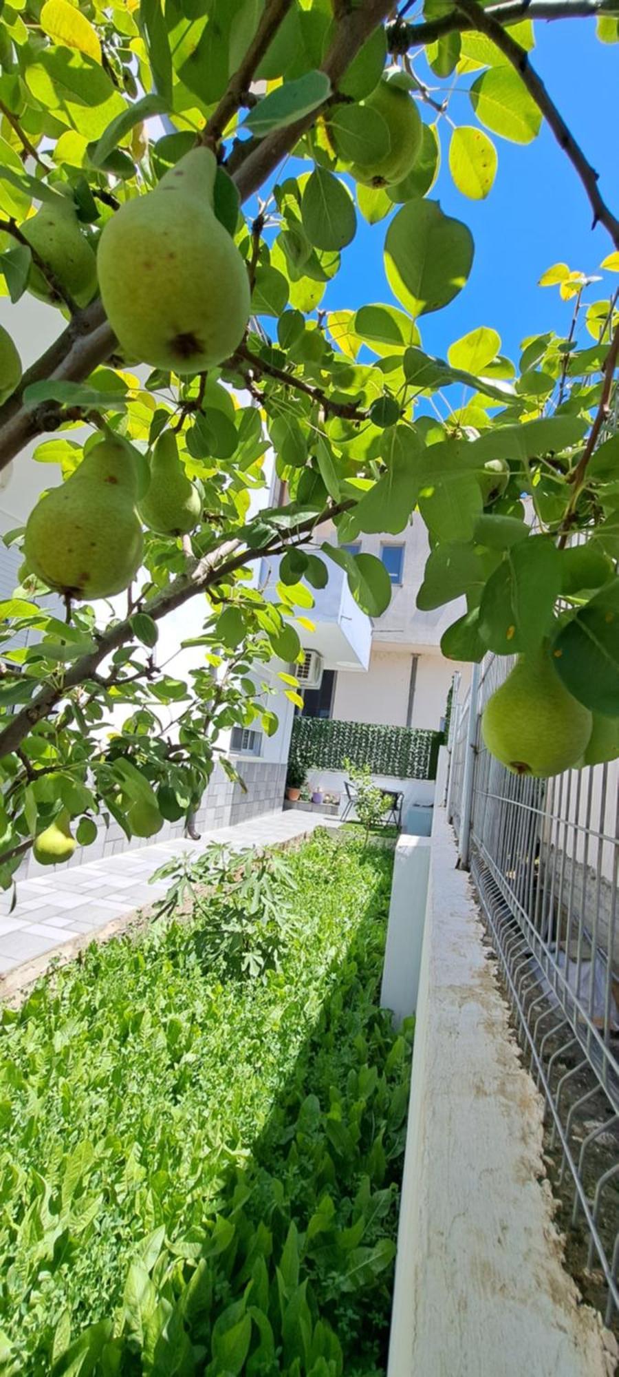 Villa Likaj بيرات الغرفة الصورة